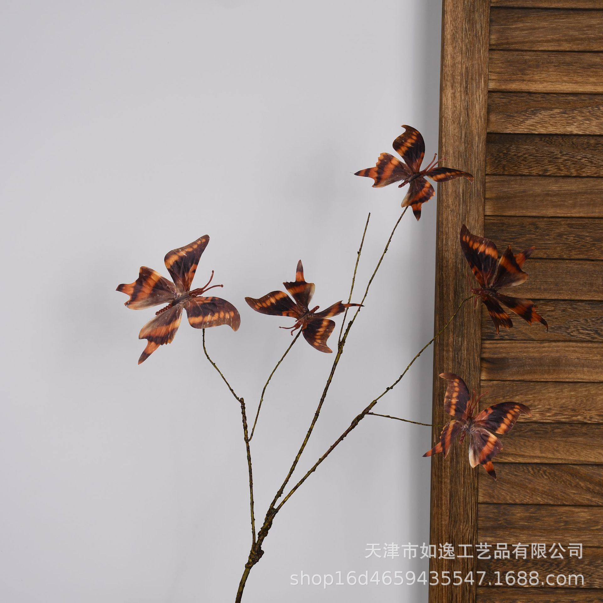 103-호랑나비-5머리