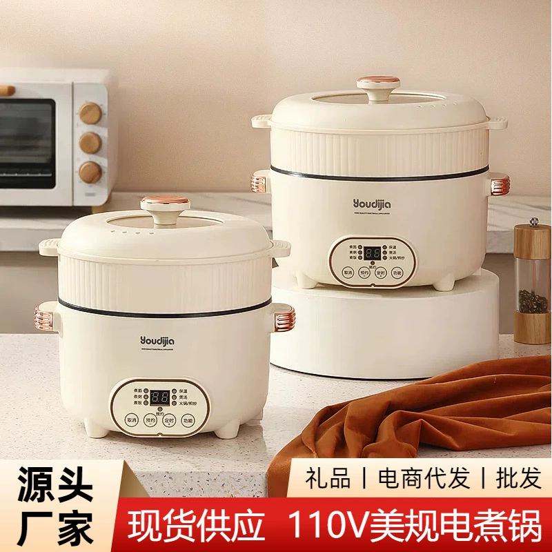 Многофункциональная электрическая плита 110 В США европейское регулирование