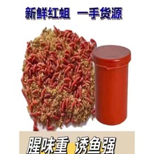 �t���x���x�nω�����~�D��~�D�����a�~Ϫ�~��D���Ӽt�x����