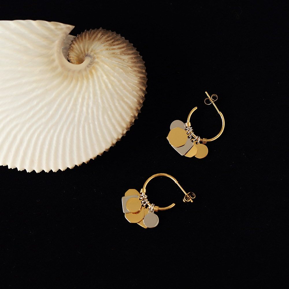 Plated Gold Surface Geometric Piece Earrings