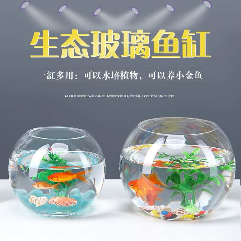Transparent glass small aquarium for office