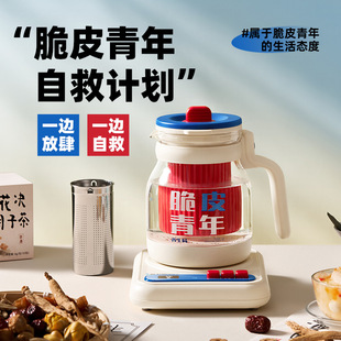 Blue Po Soft Sound Health Pot Office Small Multi-functional Stewing Integrated Boiling Water Flower Tea Pot