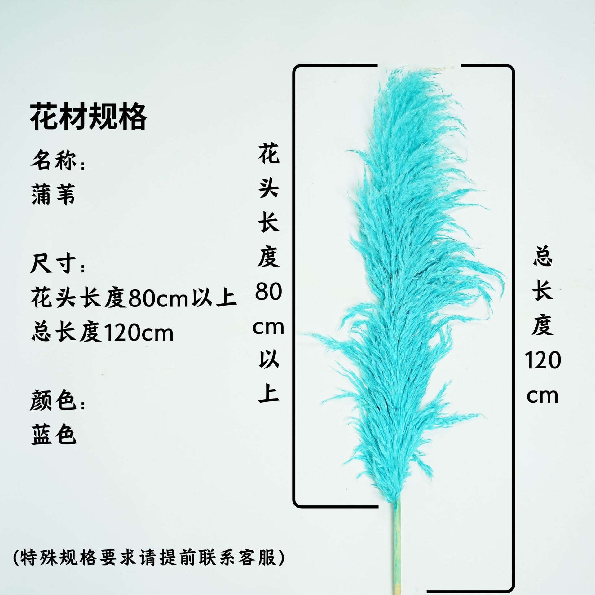 꽃 머리 80cm 이상 파란색