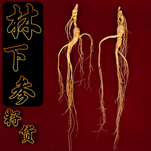 ������؛�˅������L��ɽ����؛20������30�����w�ݾƶY��Ұɽ��