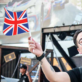 手摇旗帜各国小手挥小红旗手摇旗手持应援旗定制多色数码旗杆