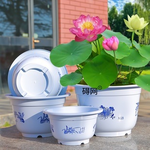 �o��ˮ��ɻ���Gֲ˯ɏ�����ش����ϼӺ��~�X����ɏ���ͥԺ�̨