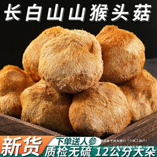 �L��ɽ���^����؛ɽ�ﹽ�^Ұ��500g��؛��ۖ|�������Ҝ�ʳ��Ģ��