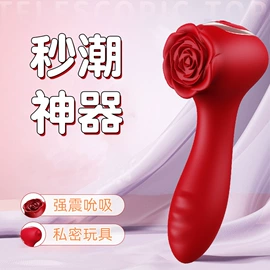 震动棒;情趣跳蛋;震动环/夹