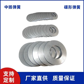 碟形弹簧;其他弹簧