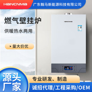 Wall-Mounted Boiler Heating and Hot Water Dual-Purpose Integrated Gas Heating and Hot Water Boiler Household Heating Boiler Gas Wall-Mounted Boiler Wholesale