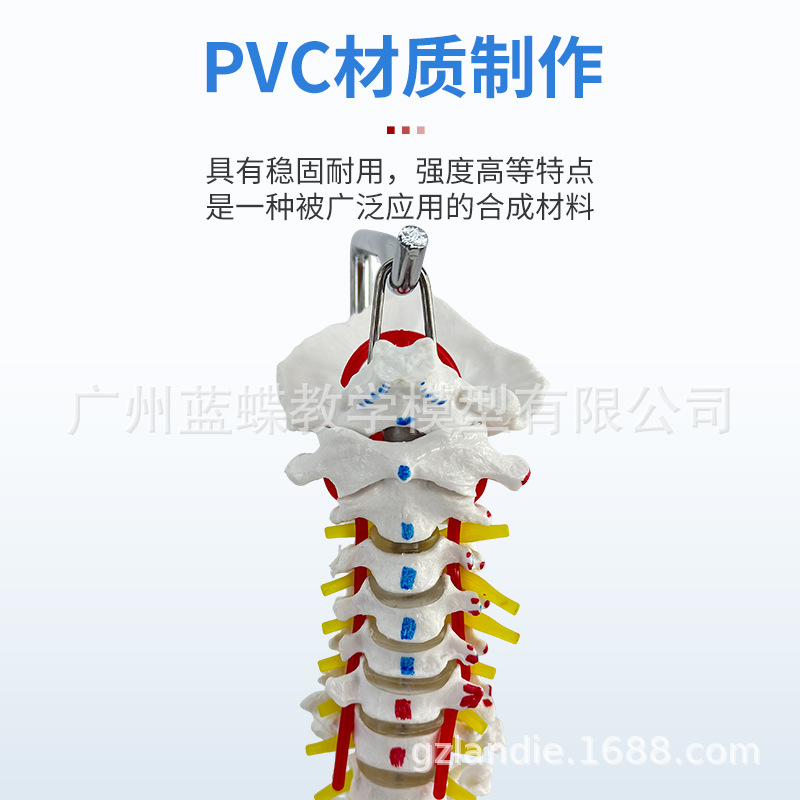 45 85CM���弹��ģ�ͷ��������׵׵�����񾭾�׵��׵β׵׵��