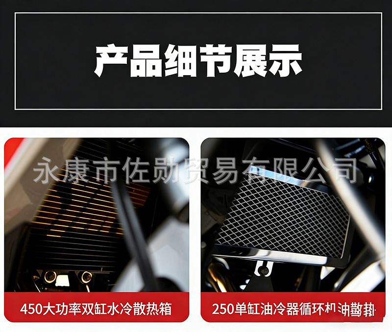 DaoLang dual-cylinder water-cooled heavy-duty street bike, high-displacement road racing motorcycle, can be registered, with Euro 4 standard and electronic fuel injection