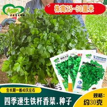 ����ʢ���������~��˷N�� �F�U����~Ƭ�й����ζ�������