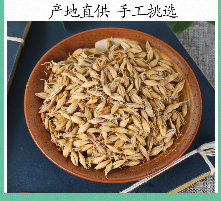 Raw Malted Barley Sprout Mai Ya 500g Dried Hordeum Vulgare for TCM Digestive Support and Herbal Decoction specifications