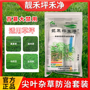 �n��ƺ�̃�����é������������R��������������ţ����R�ƹ�β��