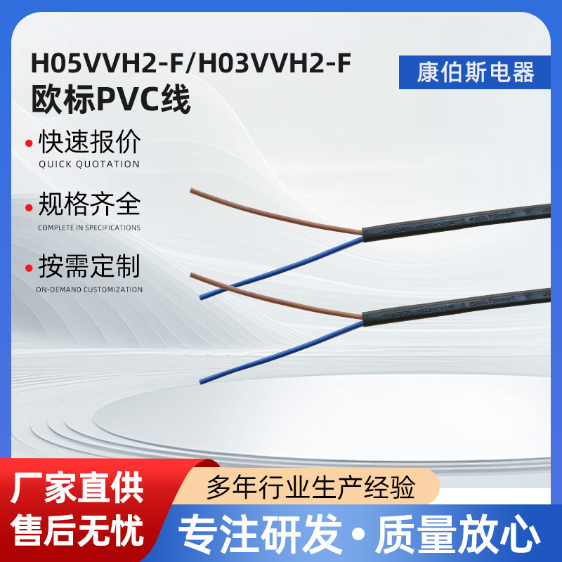H05VVH2-F/H03VVH2-F 欧洲VDE认证扁线PVC电源线插头线