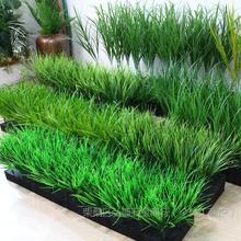 仿真小麦苗仿真秧苗草春草塑料假青草绿植绿草稻苗韭菜稻草花槽