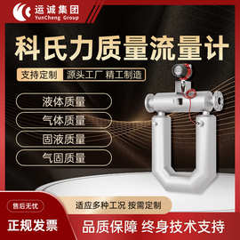 科氏力质量流量计智能液体气体高精度密度流量表科里奥利流量计