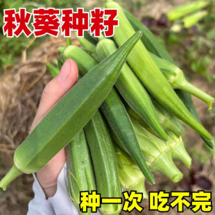 NˮS߮atrСԺ̨ļ߲˷N