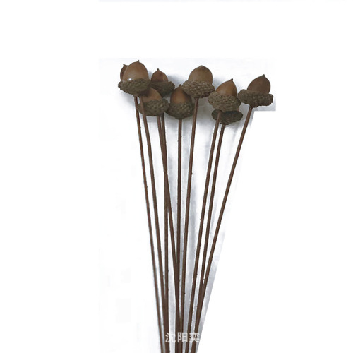 Oak hat, rubber shell, acorn home furnishings, hat, handmade DIY jewelry, handicraft pendant, photography props