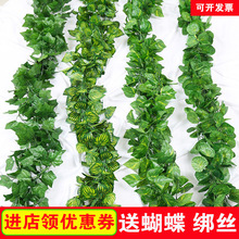 �ٗl�����~�bٻ������ܵ��p�@���پGֲ���픘��~���ϾG�~