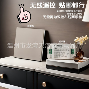 Remote Control Switch Wireless Wiring-Free Household Led Light Smart Panel 220V Dual Control Can Pass through the Wall and Can Be Pasted Remotely at Will