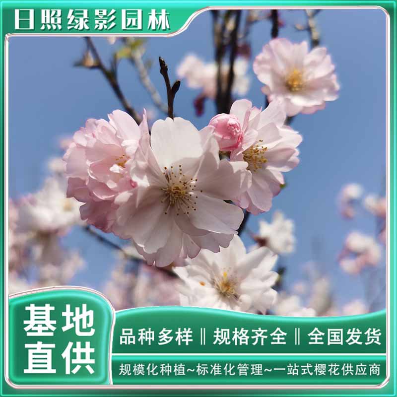 微信图片_20230818145051 副本.jpg