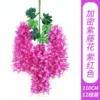 Encrypted Wisteria Flower - Purple Red