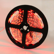 3V�NƬLED�� ���� 5mm 60��ģ�͟� �l����O�� diy���l 1��