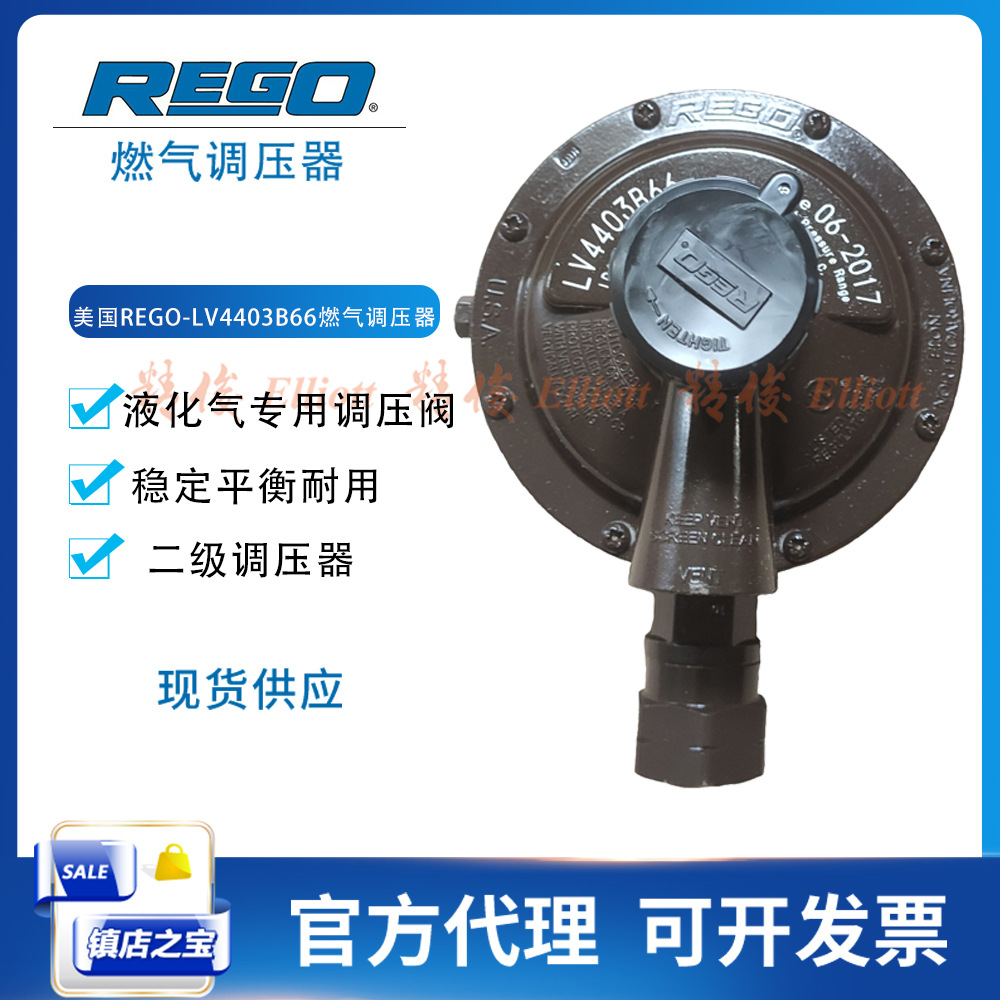 LV4403B66气体调压阀美国力高RegO液化气调节阀DN20减压器lpg燃气