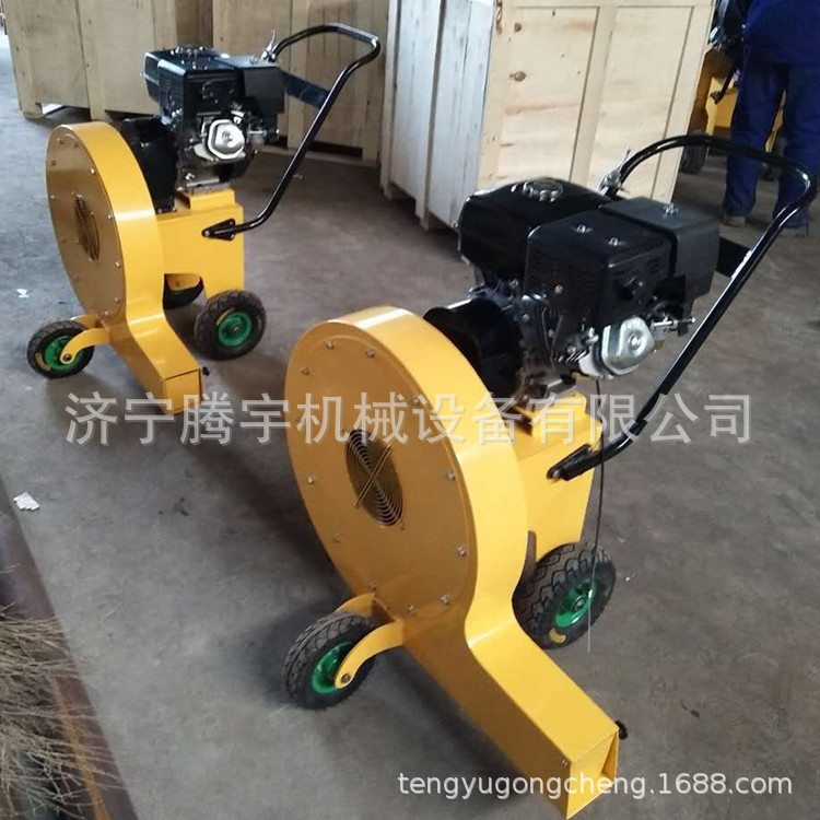 厂家批发手推式路面吹风机汽油马路吹风机价格风力强园林工具机械