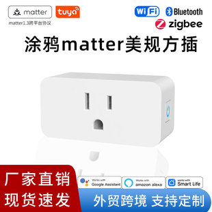 Cross-Border Tuya Matter Smart Socket Cross-Platform Protocol Supports Voice Control Remote Control Us Standard Plug
