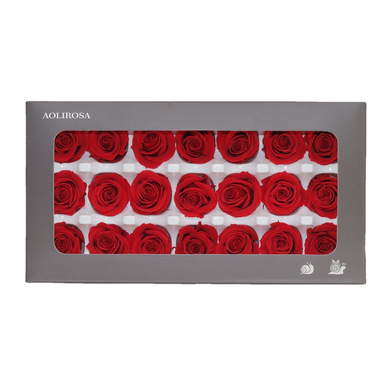 Rosa Preservada A+ de 2-3 cm, Flor Real, Material Floral para el Día de San Valentín, Material Floral al por Mayor de Yunnan, Regalo para el Día de la Madre, Material Floral para Manualidades