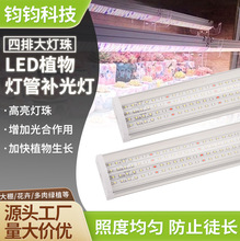 ֲ���a���t20�����҃����ş���ȫ���Vֲ�����L���߲˴���ֲ���