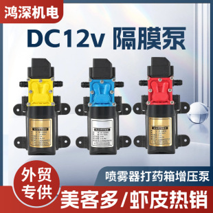 12vܸĤ΢ˮ늄ӇFÈ@ˇF늄ӳˮ