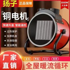 扬子暖风机家用小型取暖器速热暖风机大功率热风机小钢炮现货批发