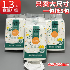 Spring South Hanging Roll Tissue Large Size Toilet Paper Bathroom Toilet Paper Big Stool Kitchen Hand Towel Wall Mounted Tissue Holder