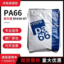 �������N/���Z���_ �W���� Ascend Vydyne PA66 R543H NT �͟� ʳ