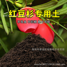 �t��ɼ�������I�B���B��ͨ���ͼ��������������Nֲ�������ЙC����