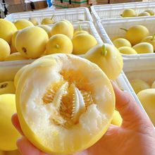 ɽ|С۷۹ޱWtǹޱƤیˮ