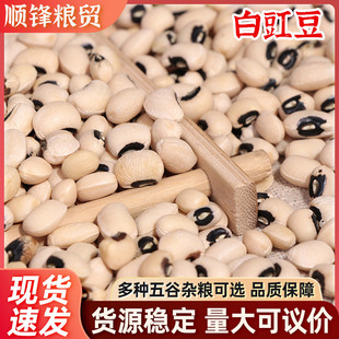 �r�Һ�����������l ����s�Z���������ü�� ������ϰ�ü��