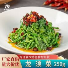 龙须菜冷冻新鲜南瓜苗尖南瓜藤250g餐饮上汤凉拌特色蔬菜餐饮商用