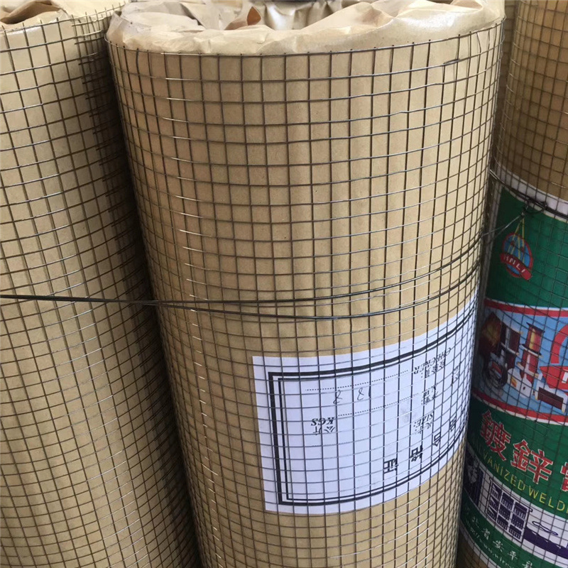 浙江厂家现货供应热镀锌钢丝网 镀锌钢丝网 热镀锌养殖钢丝网