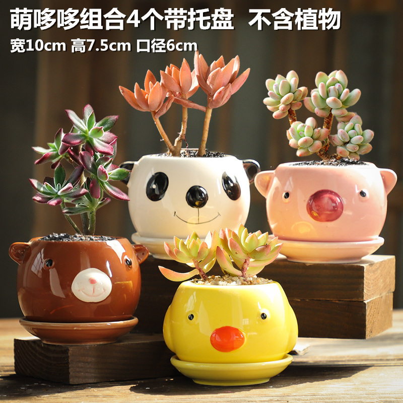 多肉植物の植木鉢、粗い陶器、通気性、大小の直径、高杭セラミック、レトロな植物セットの組み合わせのアイデア|undefined