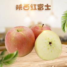 陕西红富士 代发3/9斤新鲜应季脆甜多汁老品种红富士苹果孕妇水果