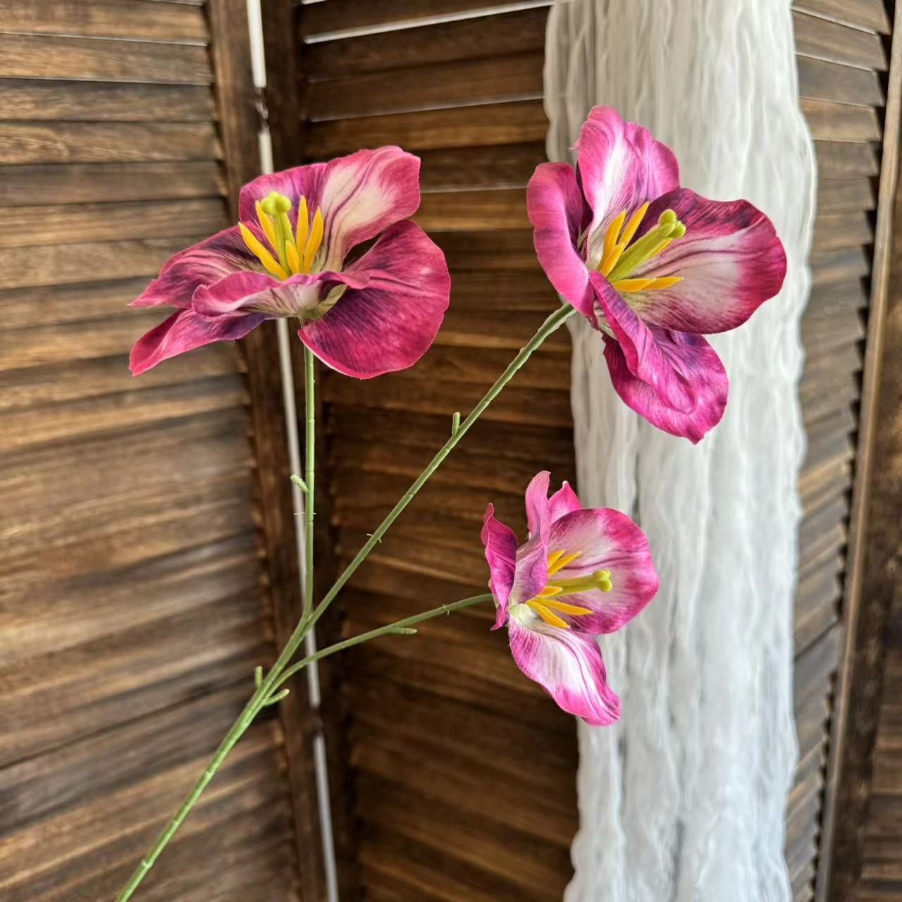 자홍색