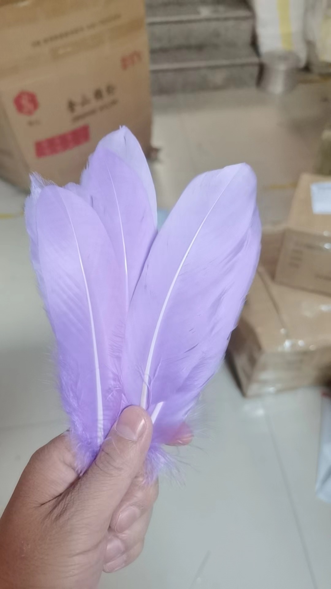 Light Purple No. 1