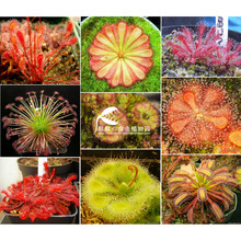 llʳ�xֲ��-���Né��� ʳ�˻���������