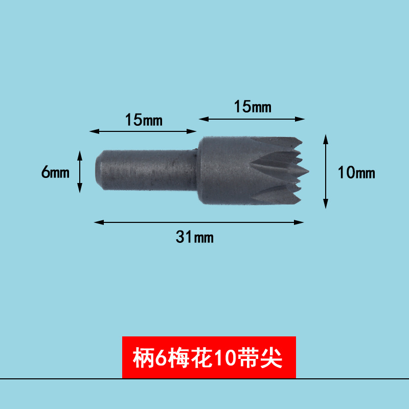 Handle 6 plum blossoms 10 with tip