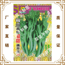 ϲ���S��ֱ�����������ش����ļ��Nֲ  ���m�߼������ͽ�̦F1